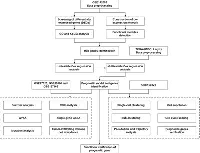 Identification of Novel Prognostic Markers Associated With Laryngeal Squamous Cell Carcinoma Using Comprehensive Analysis